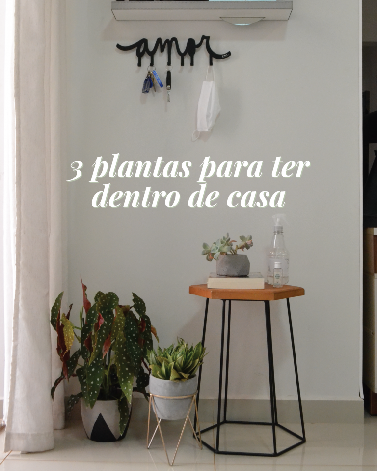 Plantas Para Ter Em Casa Casa Das Amigas