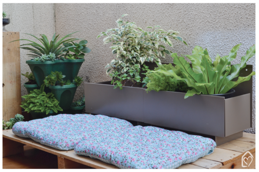 Dicas de Decoração Sustentável para o seu Lar